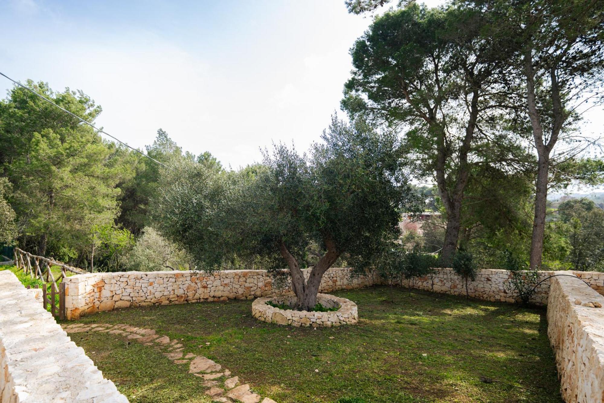 Trulli Magda Villa Мартина Франка Екстериор снимка